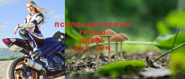 PSILOCYBIN Абдулино