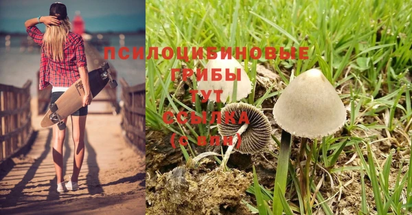 MDMA Premium VHQ Абаза