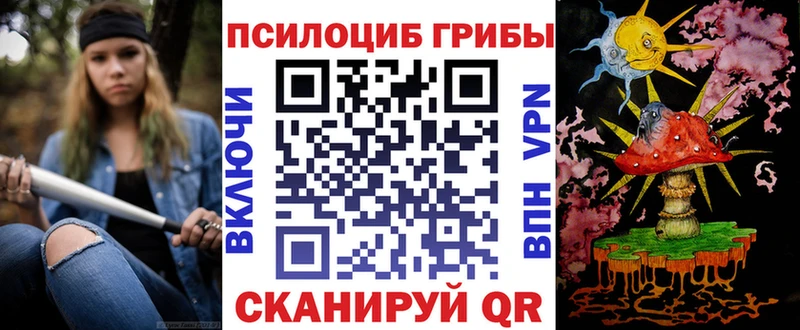 Псилоцибиновые грибы мицелий Сусуман